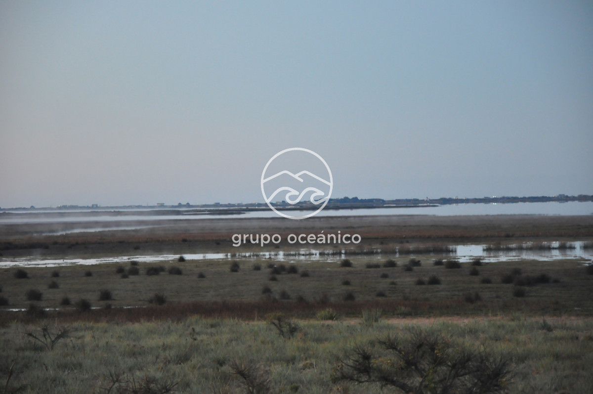 Campo Ref.88 - Campo 91 há sobre Laguna de José Ignacio