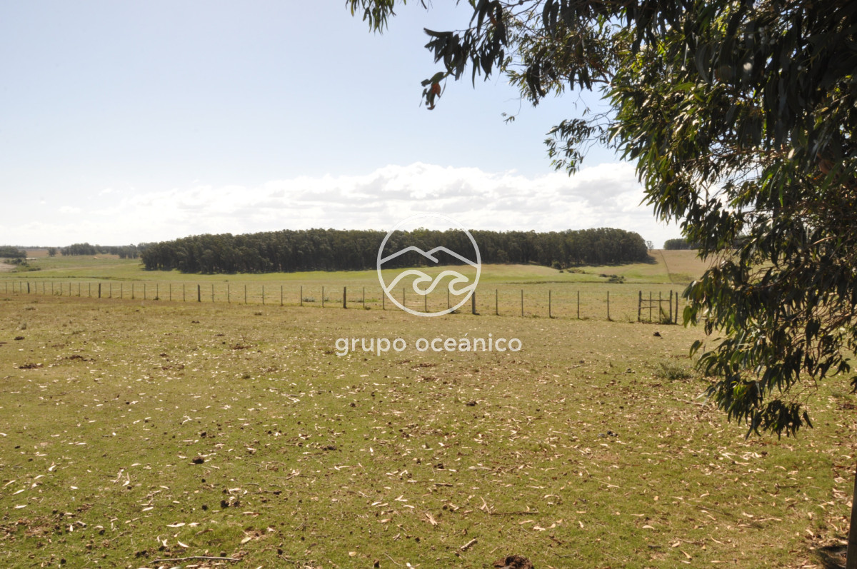 Campo Ref.44 - Campo con instalaciones y casas en Ruta 9 y camino Anastasio