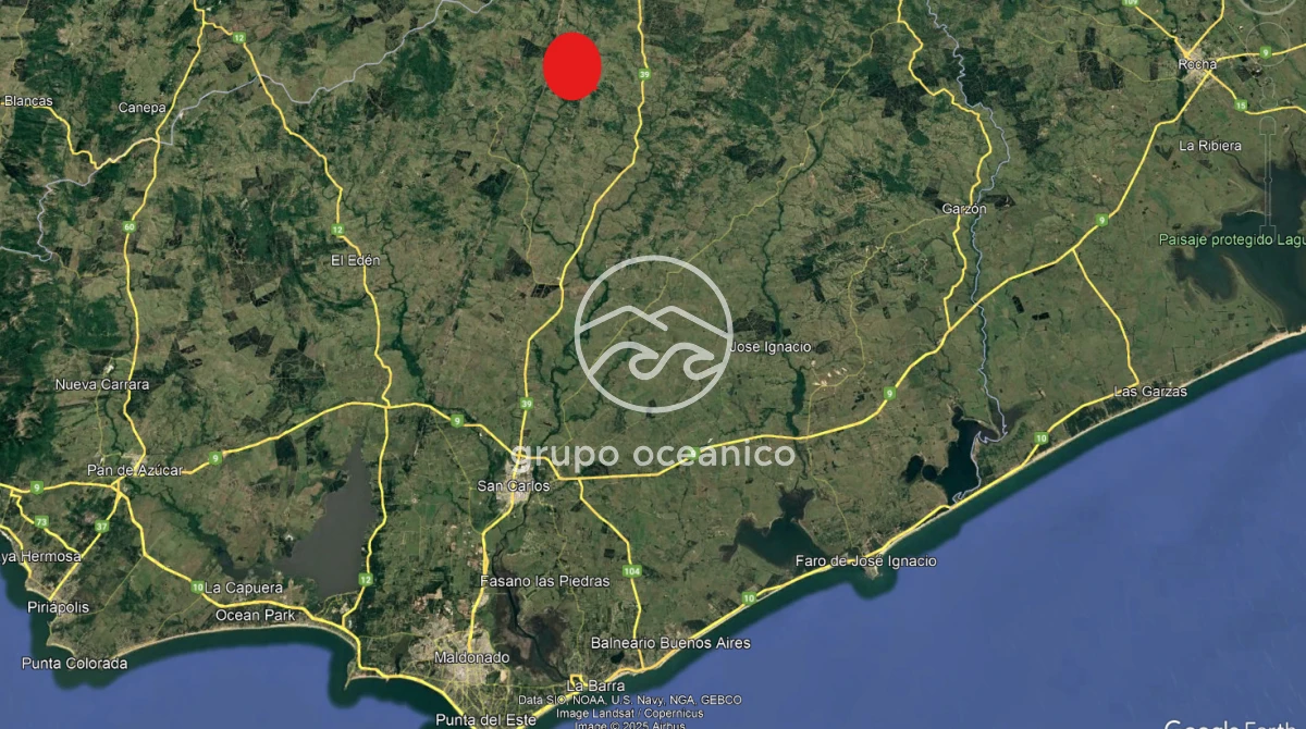 Campo Ref.8 - Campo 77 hectáreas en Ruta 39