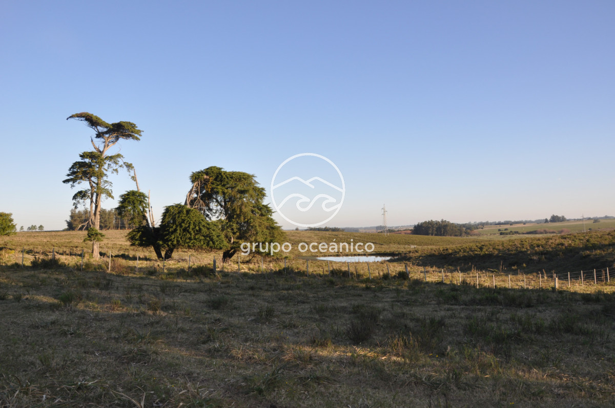 Campo Ref.3 - Campo de 39 hectáreas en Rincón de José Ignacio