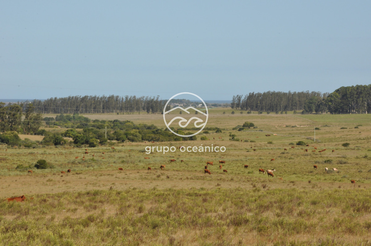 Campo Ref.44 - Campo con instalaciones y casas en Ruta 9 y camino Anastasio