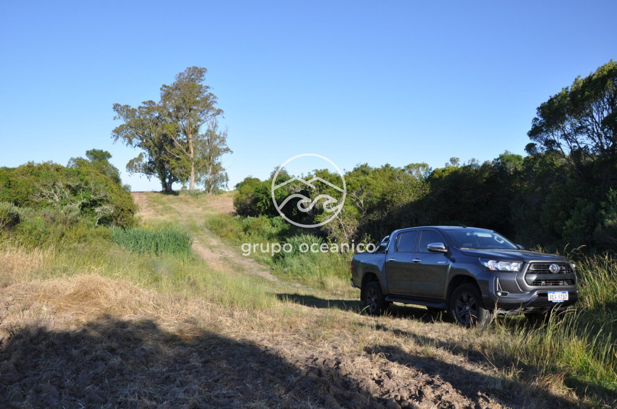 Campo Ref.11 - Ruta 9 y Arroyo Garzón 36.9 Hectáreas con costa 