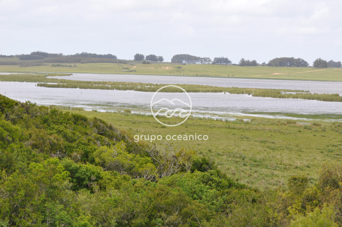 Campo Ref.89 - Campo 280 há sobre Laguna Garzón Área Protegida