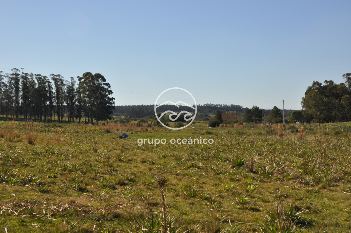 Campo Ref.81 - Campo Paso del Tigre con Cabaña