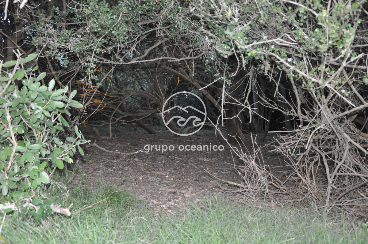 Campo Ref.4 - P 20673 Ruta 9 José Ignacio