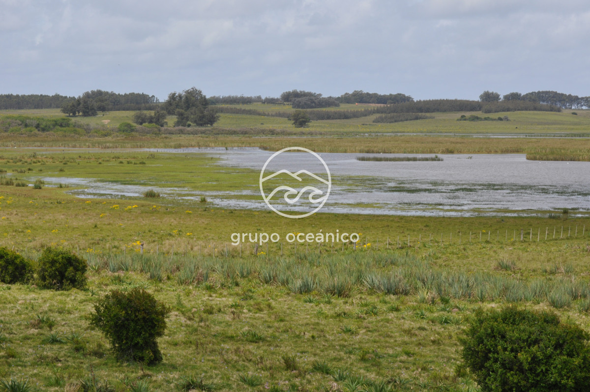 Campo Ref.89 - Campo 280 há sobre Laguna Garzón Área Protegida