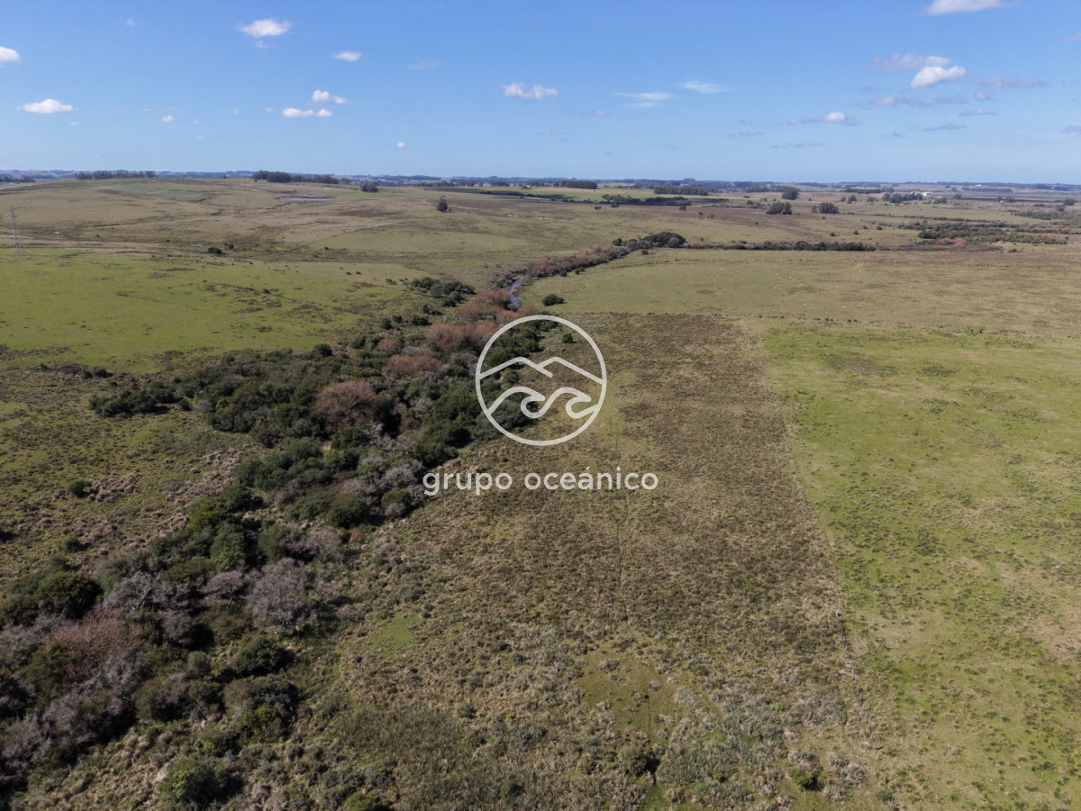 Campo Ref.2 - Campo de 50 hectáreas en Rincón de José Ignacio