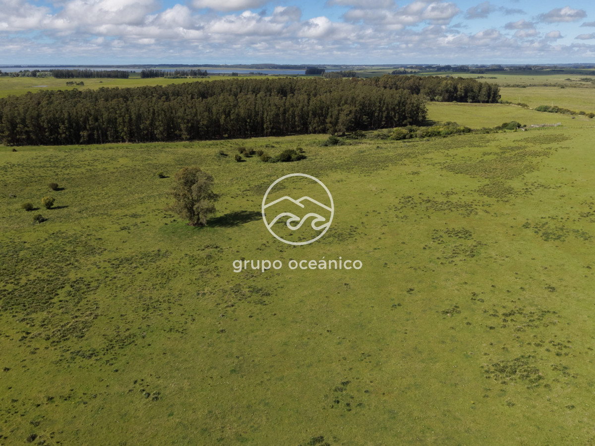 Campo Ref.2 - Campo de 50 hectáreas en Rincón de José Ignacio