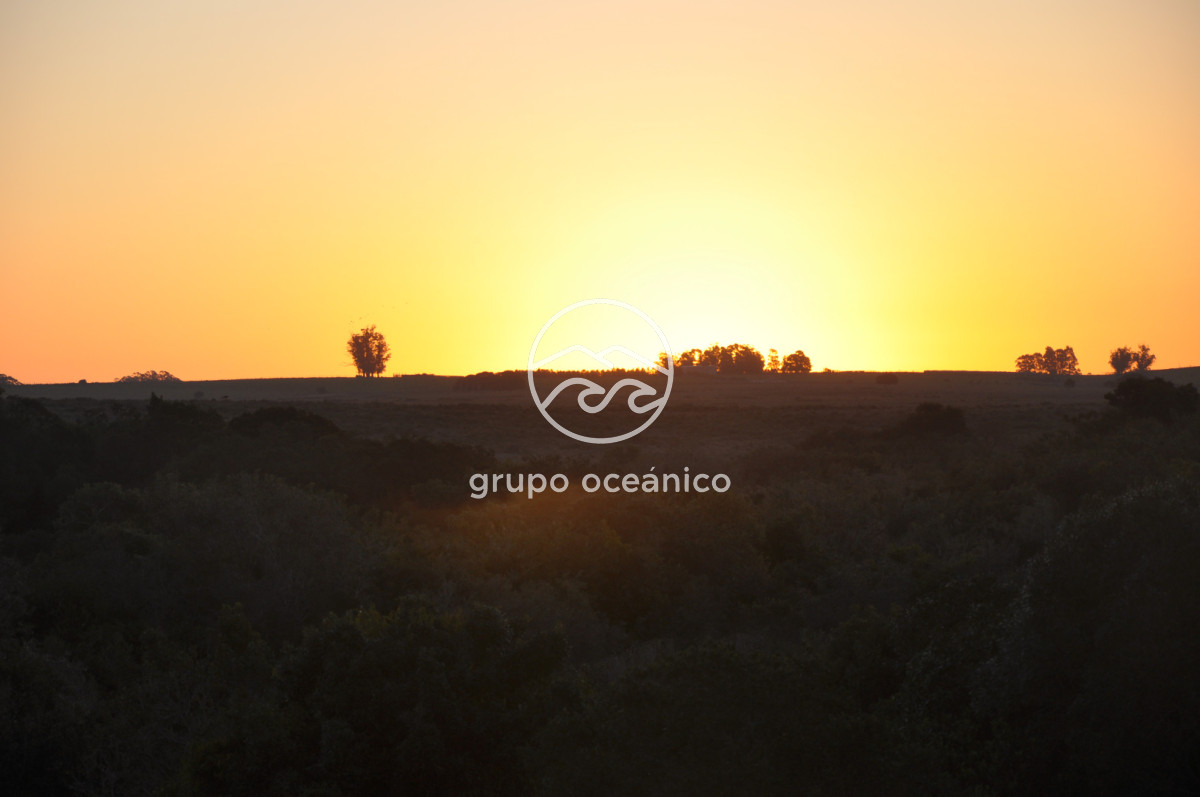 Campo Ref.4 - P 20673 Ruta 9 José Ignacio