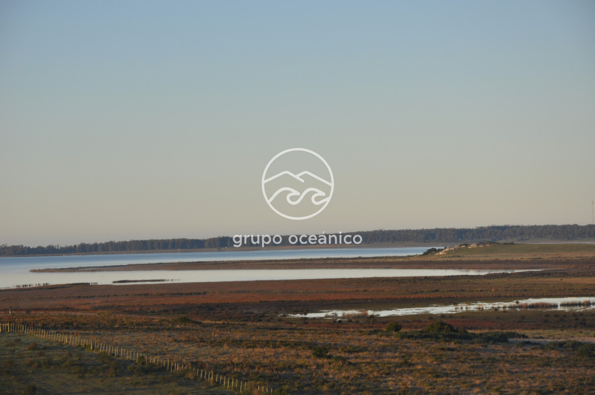 Campo Ref.88 - Campo 91 há sobre Laguna de José Ignacio