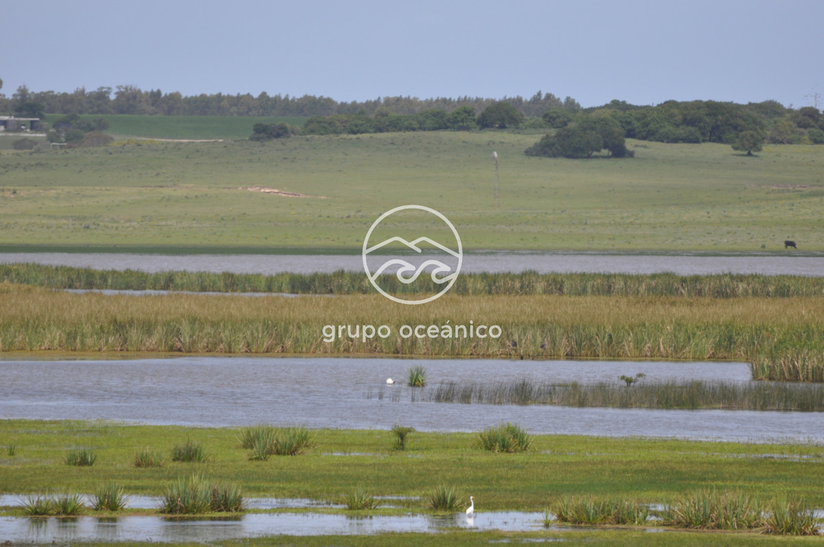 Campo Ref.89 - Campo 280 há sobre Laguna Garzón Área Protegida