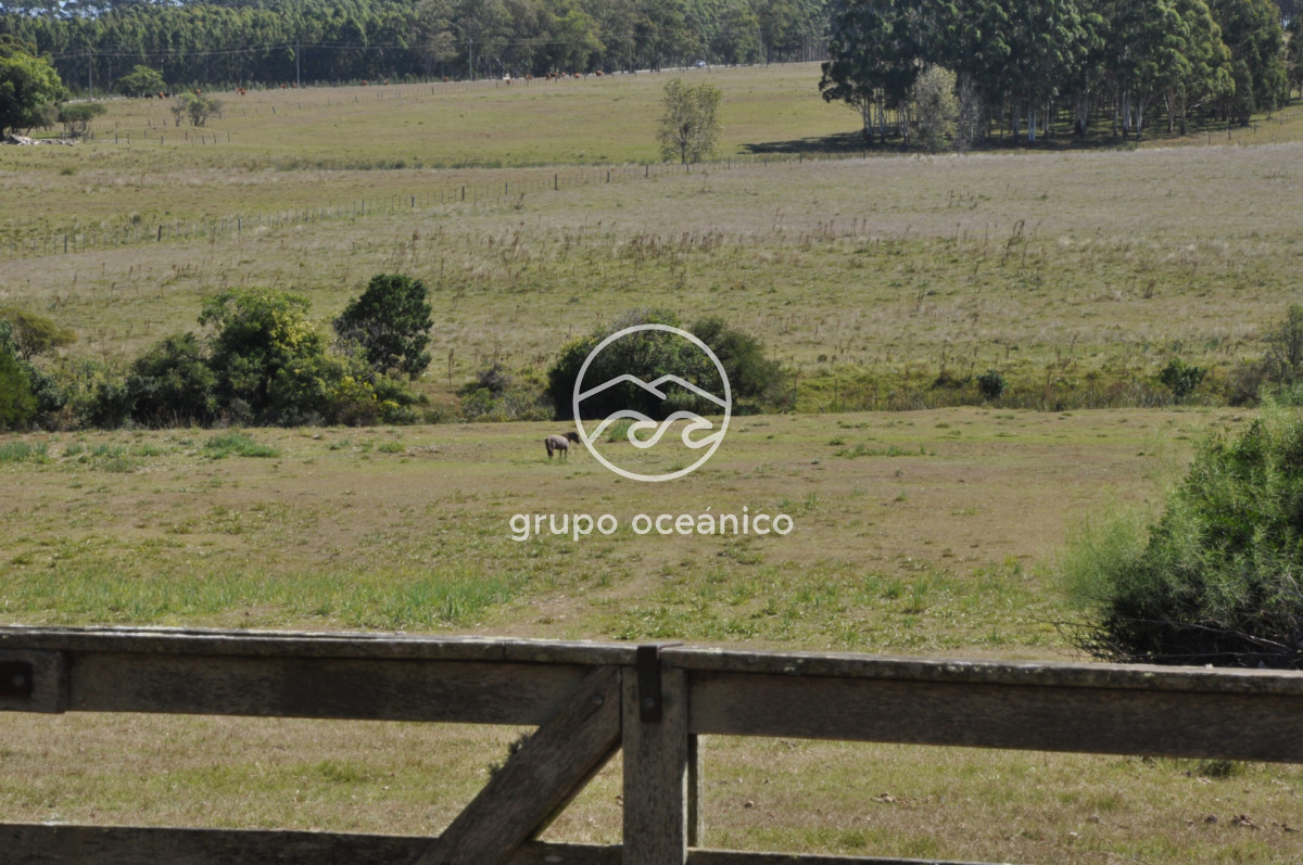 Campo Ref.44 - Campo con instalaciones y casas en Ruta 9 y camino Anastasio