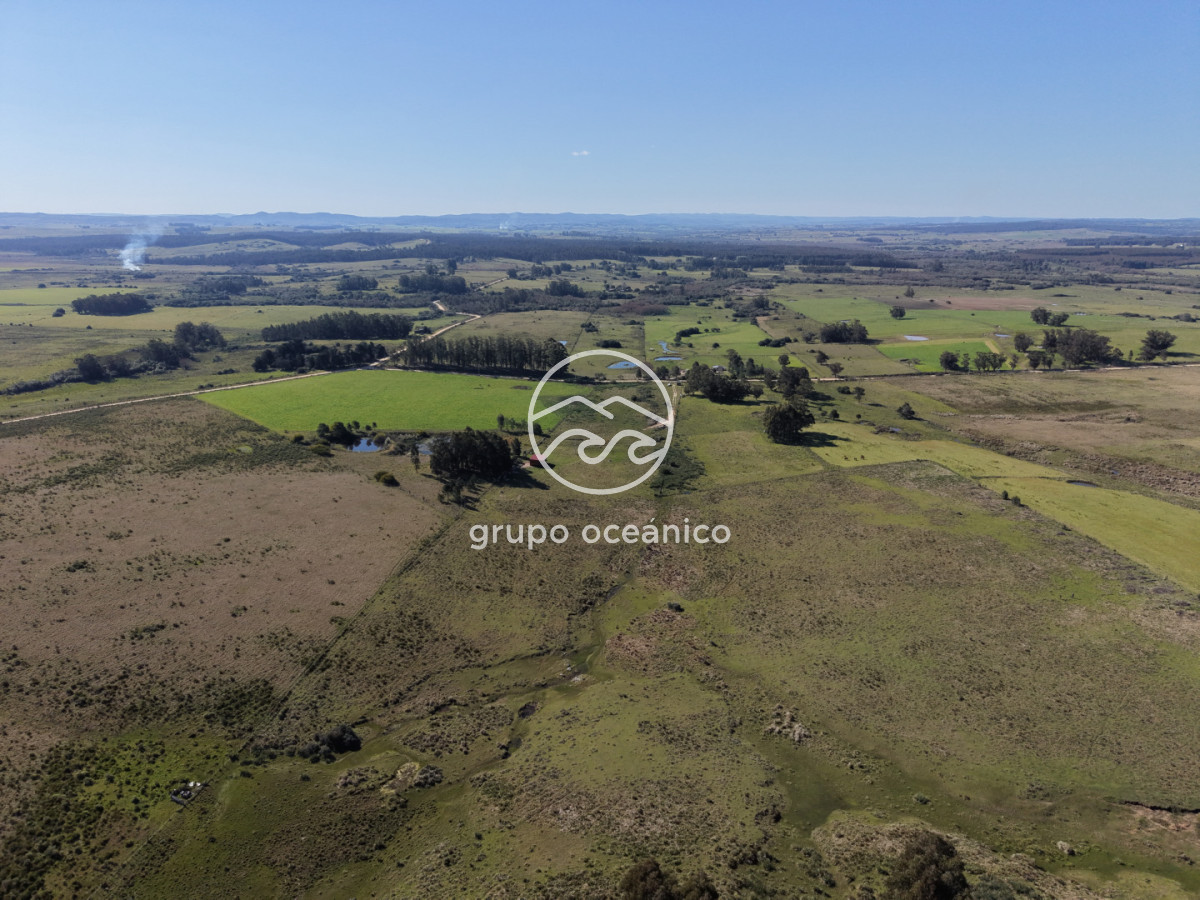 Campo Ref.81 - Campo Paso del Tigre con Cabaña