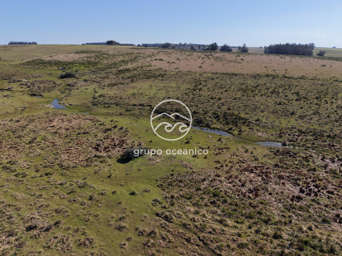 Campo Ref.81 - Campo Paso del Tigre con Cabaña