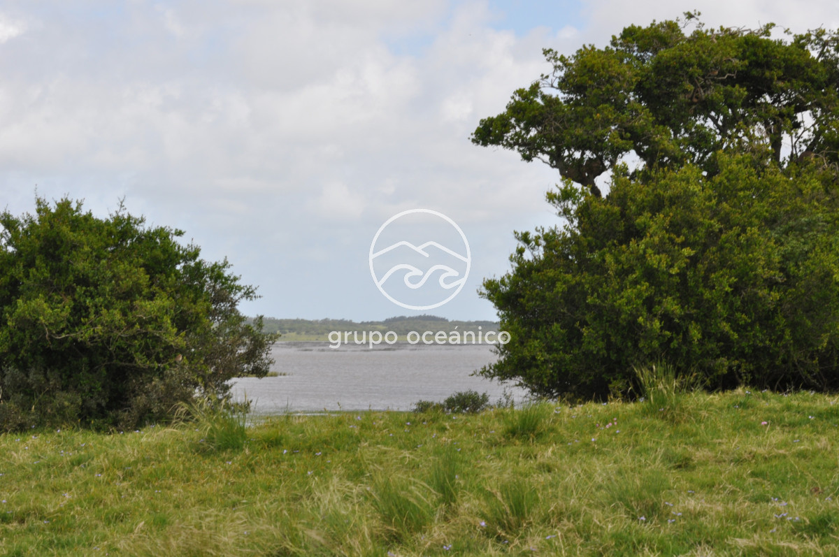 Campo Ref.89 - Campo 280 há sobre Laguna Garzón Área Protegida