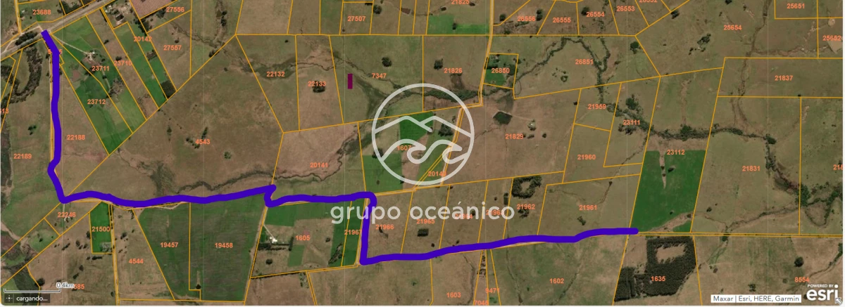 Campo Ref.2 - Campo de 50 hectáreas en Rincón de José Ignacio