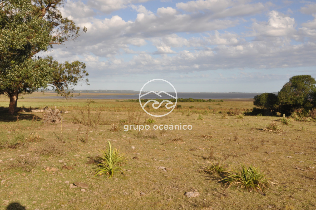 Campo Ref.41 - Campo a orillas de la Laguna de José Ignacio