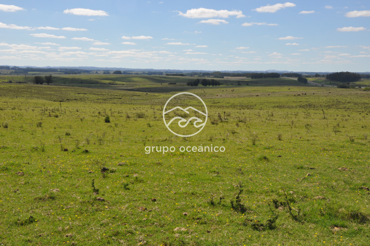 Campo Ref.53 - Campo Rocha Ruta 9 Km 196