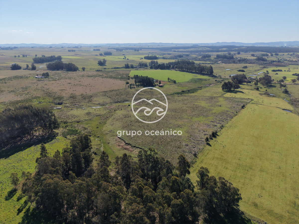 Campo Ref.81 - Campo Paso del Tigre con Cabaña