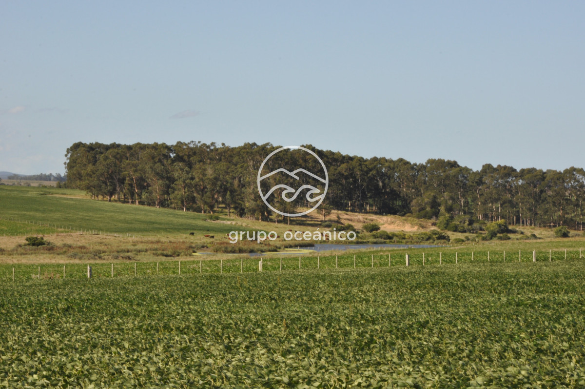 Campo Ref.44 - Campo con instalaciones y casas en Ruta 9 y camino Anastasio