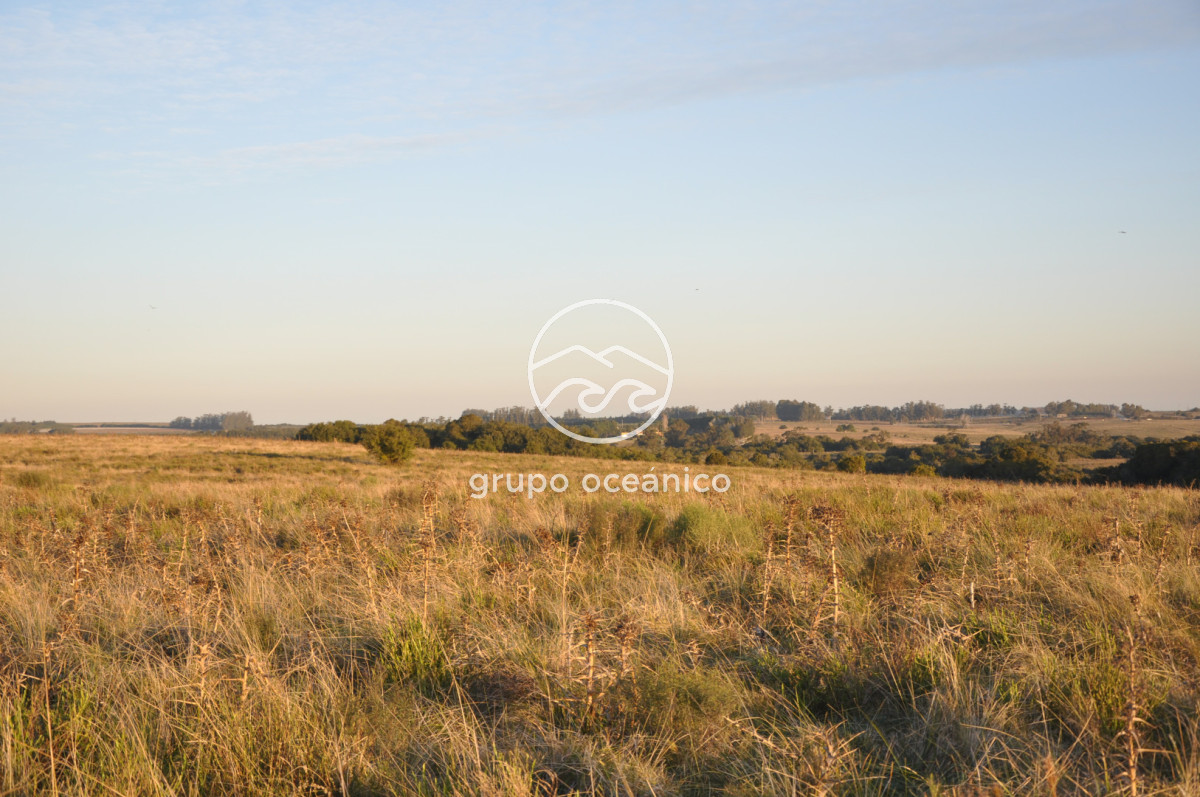 Campo Ref.3 - Campo de 39 hectáreas en Rincón de José Ignacio