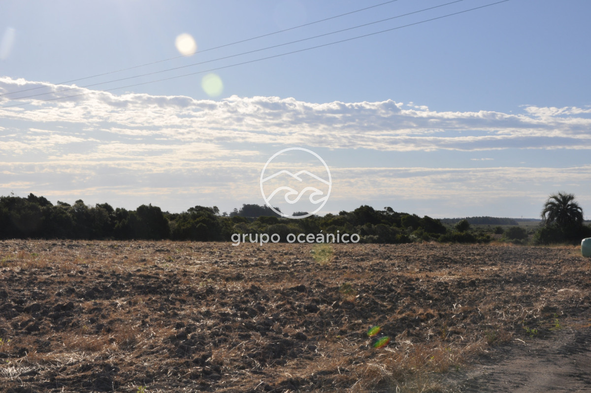 Campo Ref.11 - Ruta 9 y Arroyo Garzón 36.9 Hectáreas con costa 