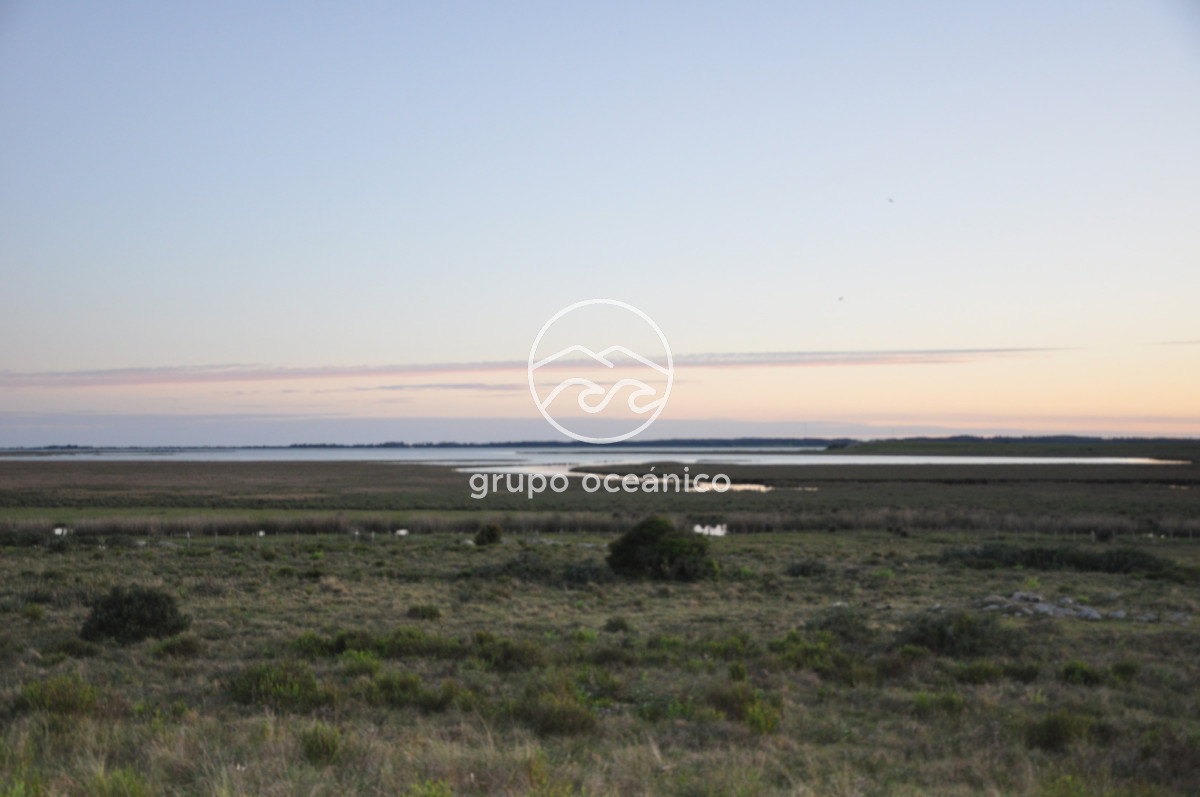 Campo Ref.88 - Campo 91 há sobre Laguna de José Ignacio
