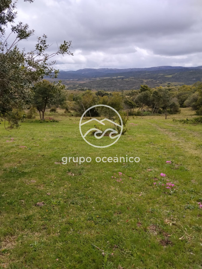 Campo Ref.92 - Campo 4 +3 há Paso de la Cantera 