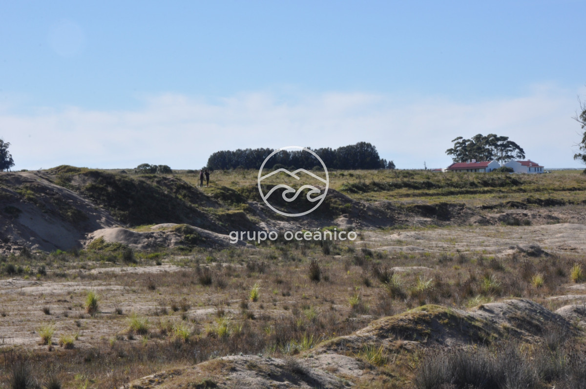 Campo Ref.88 - Campo 91 há sobre Laguna de José Ignacio