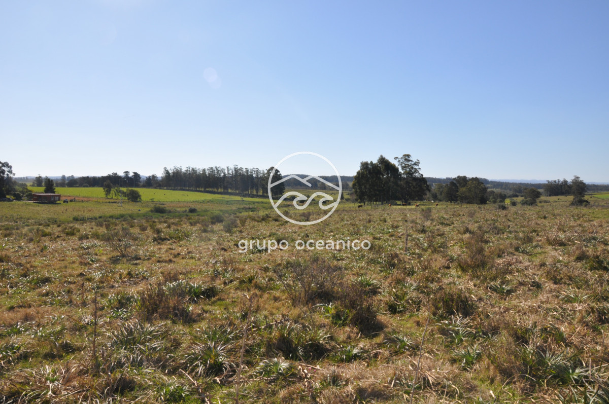Campo Ref.81 - Campo Paso del Tigre con Cabaña