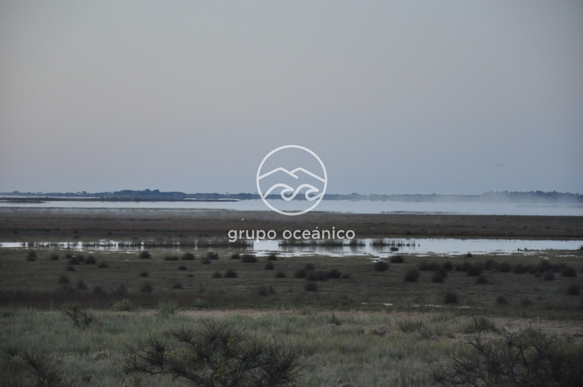 Campo Ref.88 - Campo 91 há sobre Laguna de José Ignacio