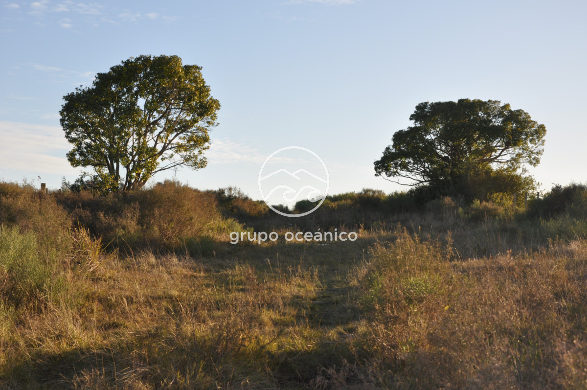 Campo Ref.4 - P 20673 Ruta 9 José Ignacio