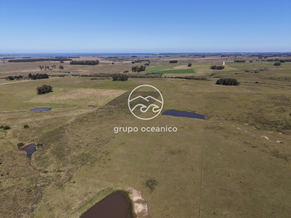 Campo Ref.56 - Campo 10 Há con acceso desde Ruta 9 Rincón de José Ignacio