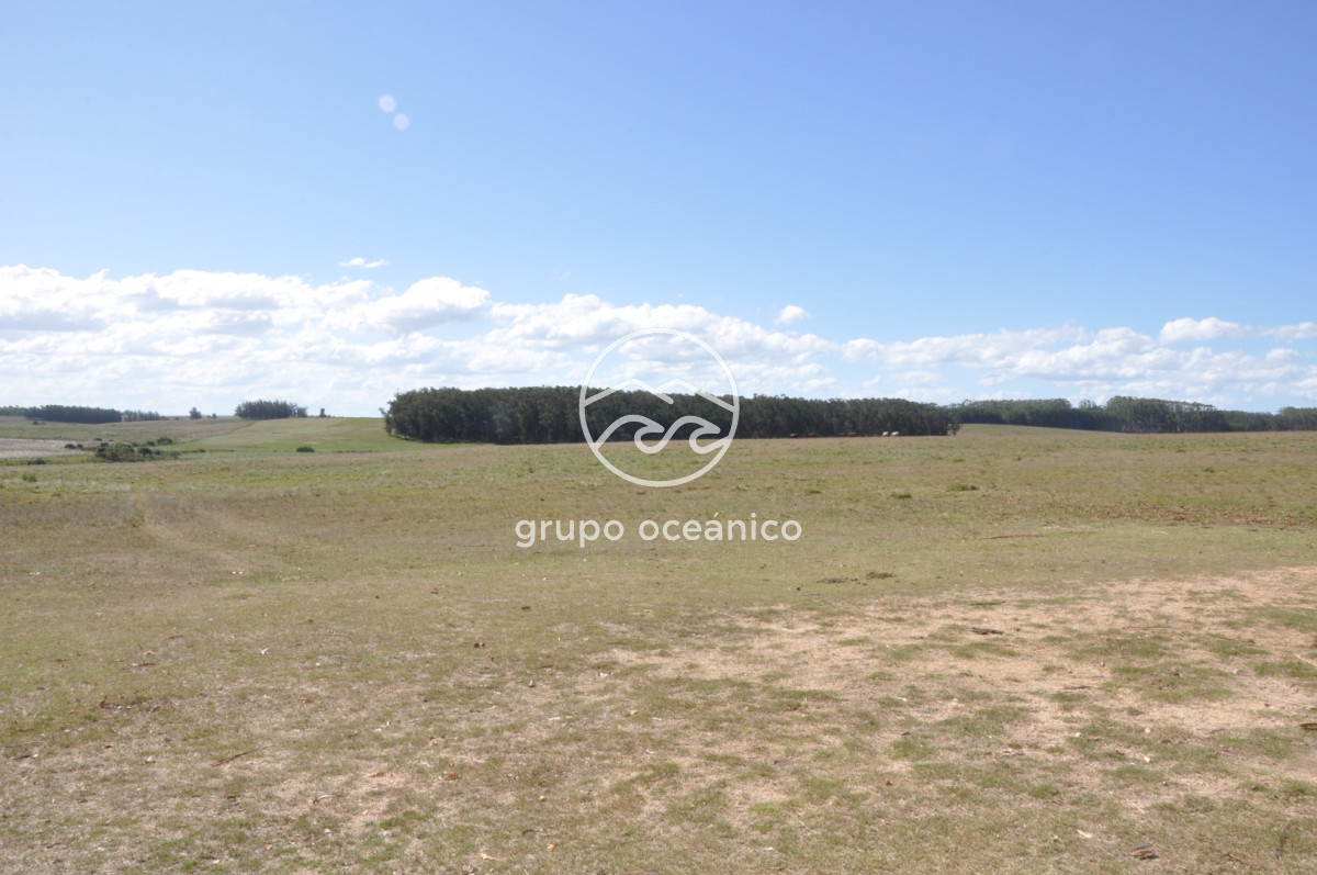 Campo Ref.44 - Campo con instalaciones y casas en Ruta 9 y camino Anastasio