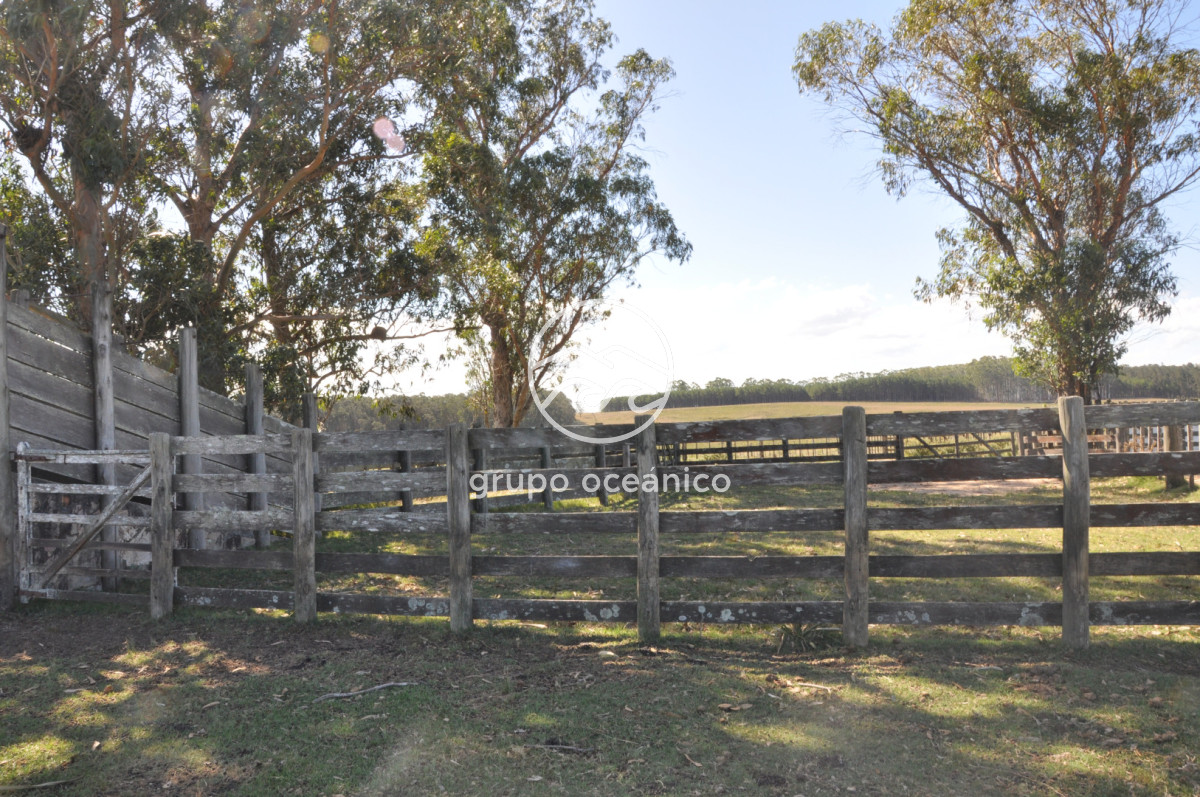 Campo Ref.44 - Campo con instalaciones y casas en Ruta 9 y camino Anastasio