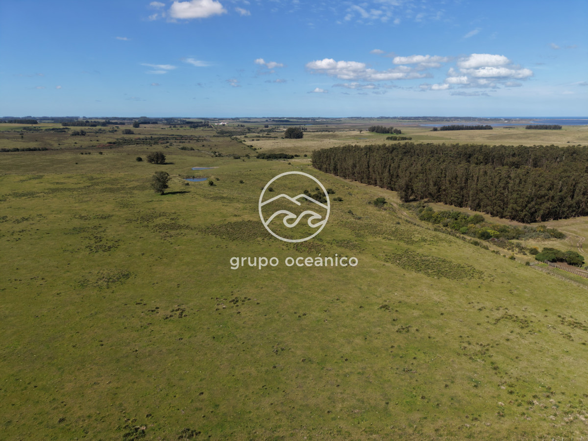 Campo Ref.2 - Campo de 50 hectáreas en Rincón de José Ignacio