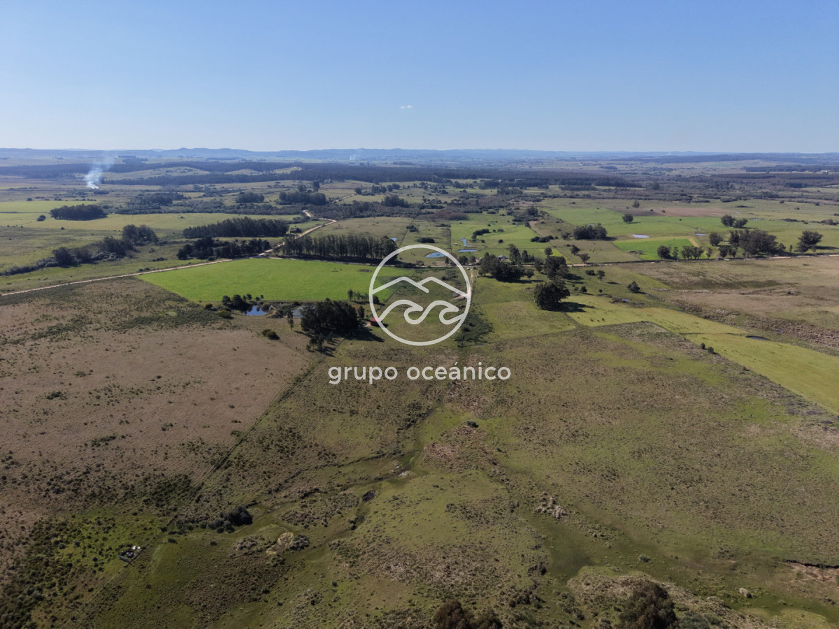 Campo Ref.81 - Campo Paso del Tigre con Cabaña