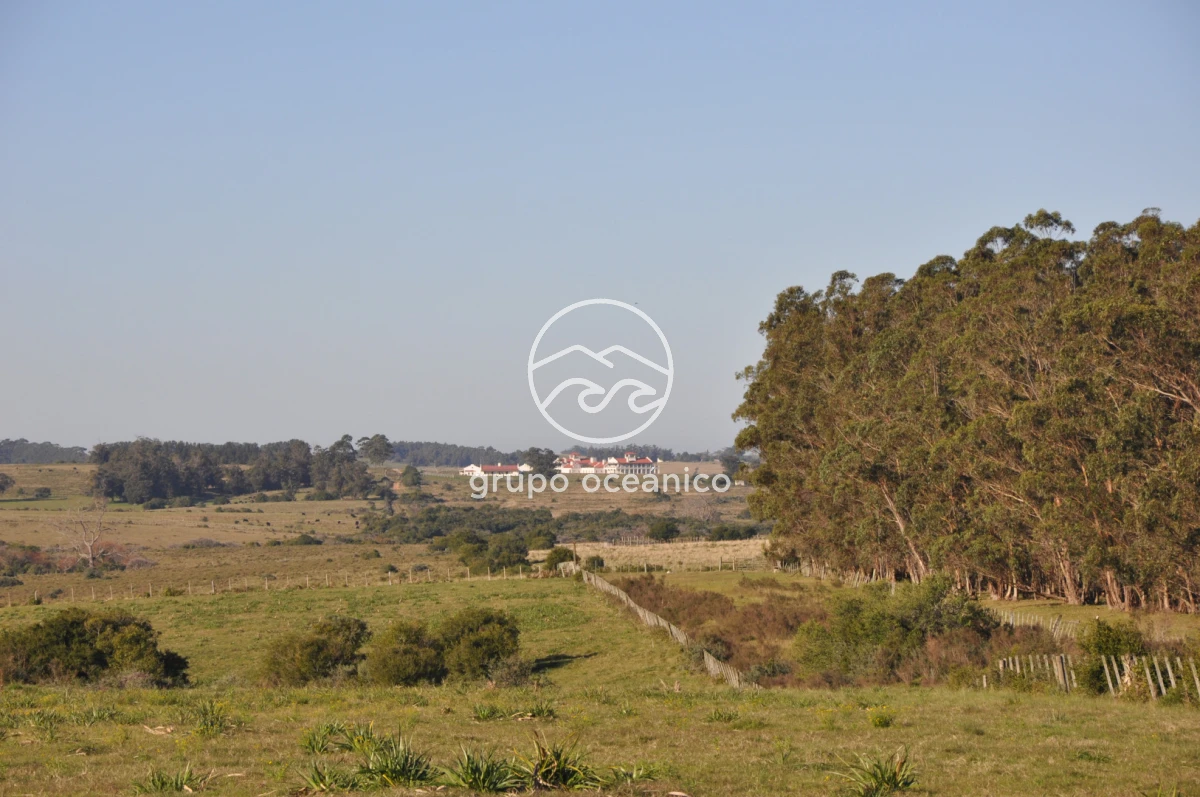 Campo Ref.2 - Campo de 50 hectáreas en Rincón de José Ignacio