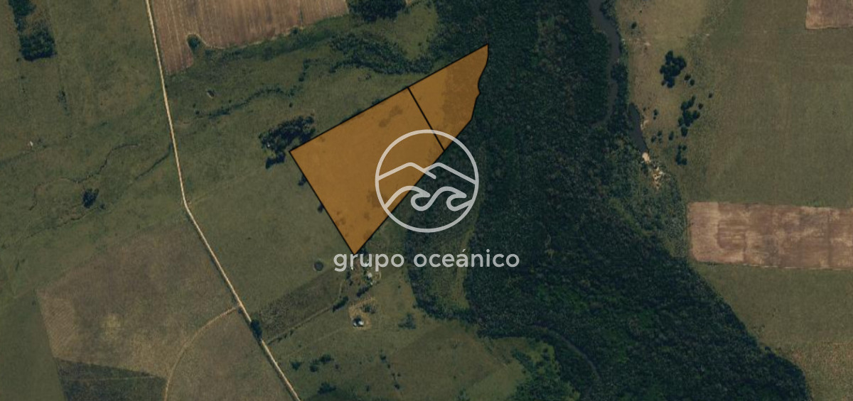 Campo Ref.49 - Campo 9,5 Há en paso de Tigre y Ruta 9