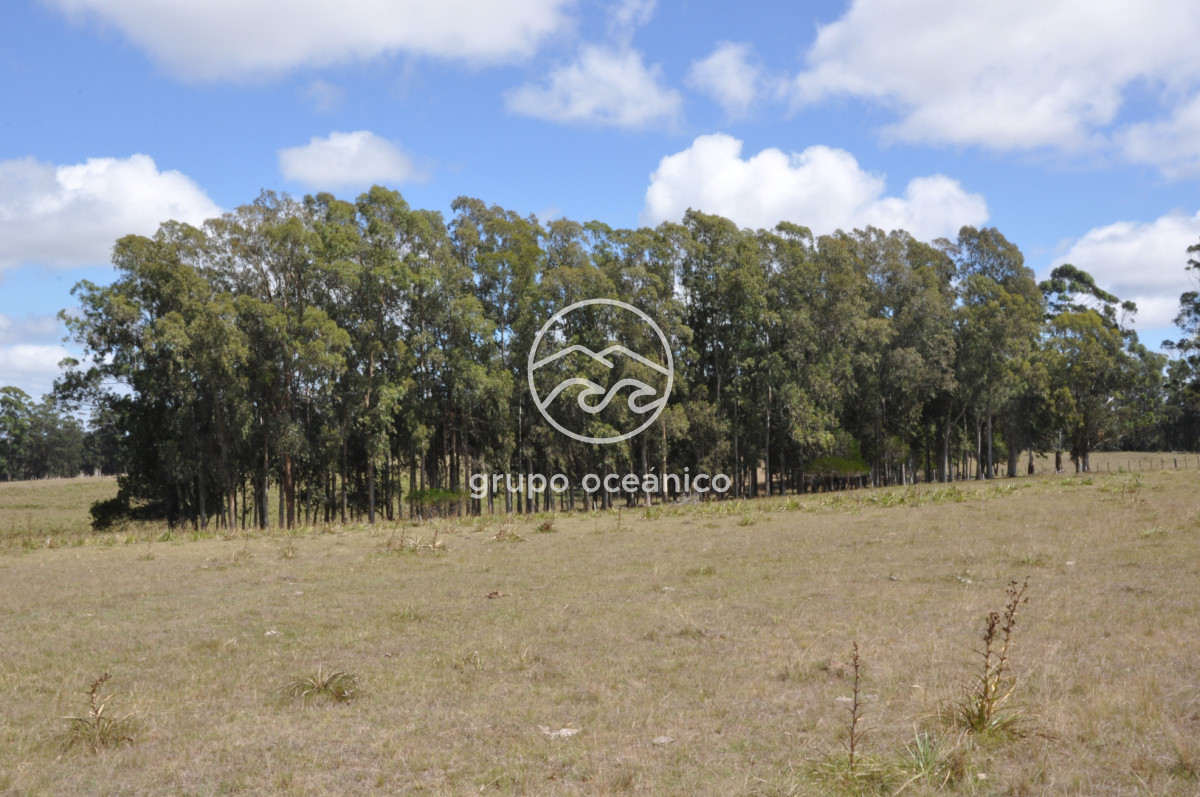 Campo Ref.36 - Campo en Camino las Garzas y Ruta 9  360 Ha ideal para fraccionamiento de chacras