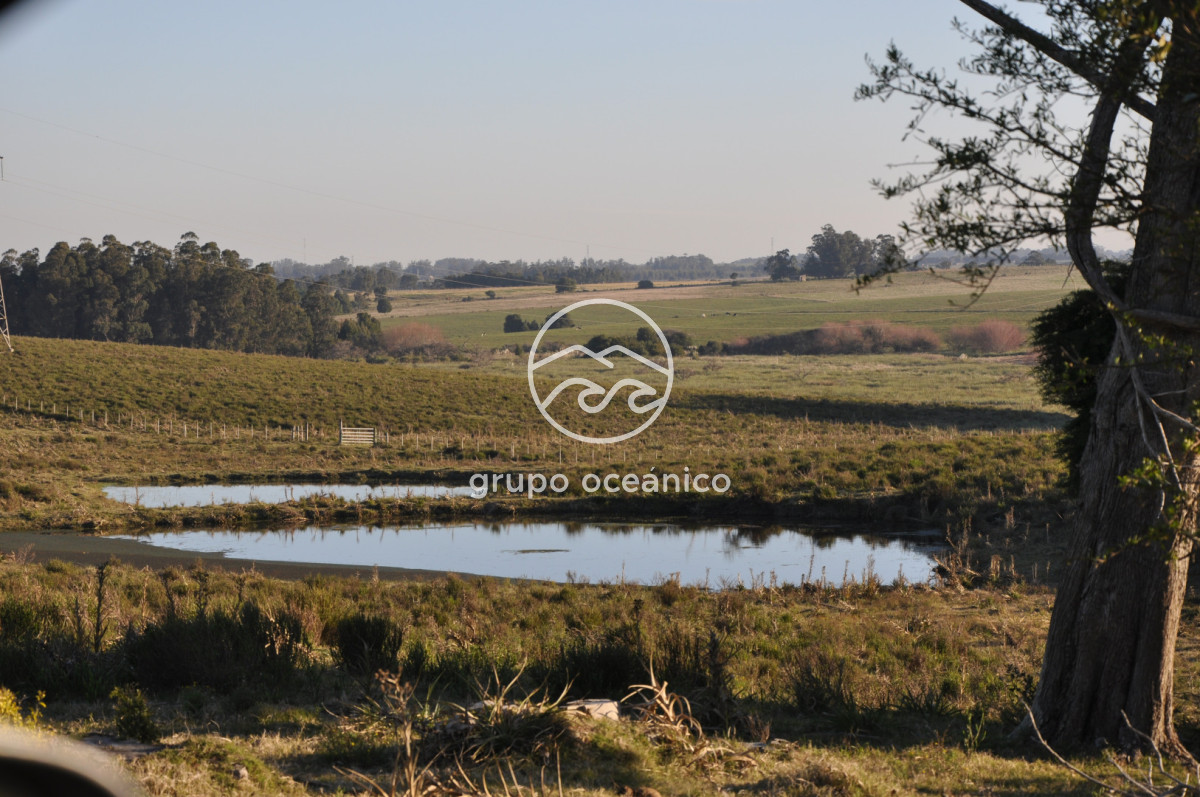 Campo Ref.3 - Campo de 39 hectáreas en Rincón de José Ignacio