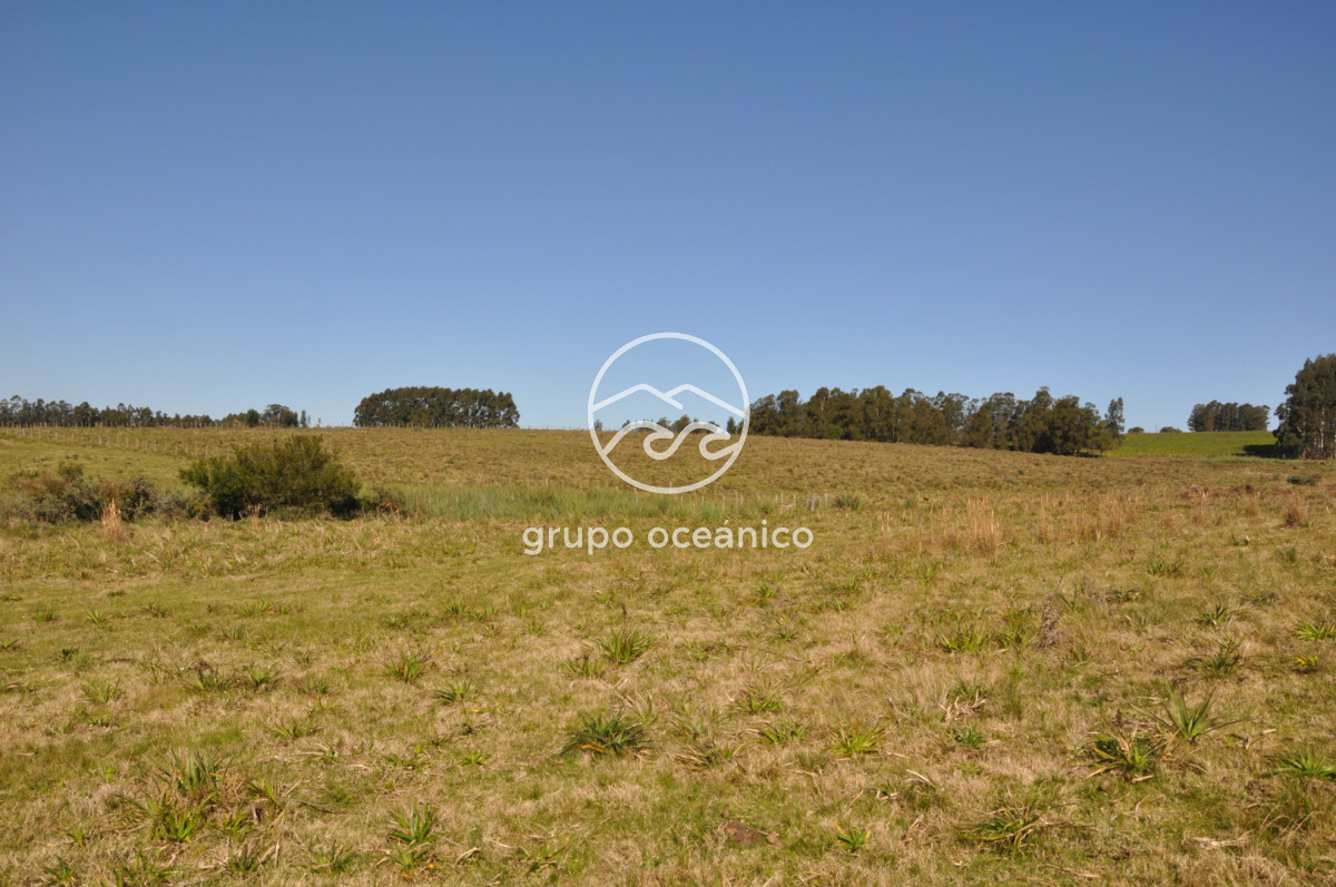 Campo Ref.81 - Campo Paso del Tigre con Cabaña