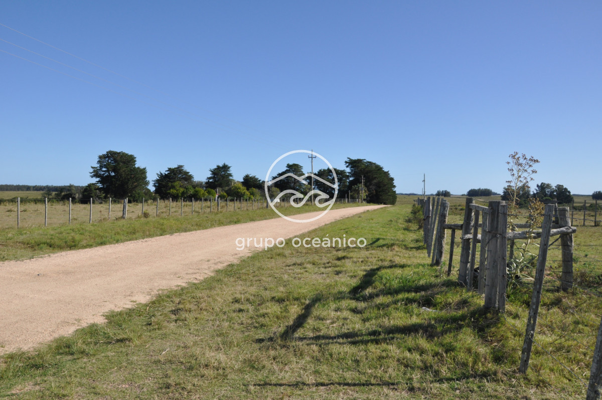 Campo Ref.18 - Campo en camino vecinal y Ruta 9 Zona Bodega Oceánica