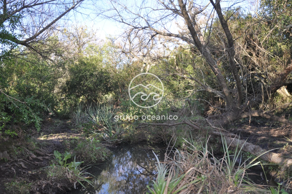 Campo Ref.2 - Campo de 50 hectáreas en Rincón de José Ignacio