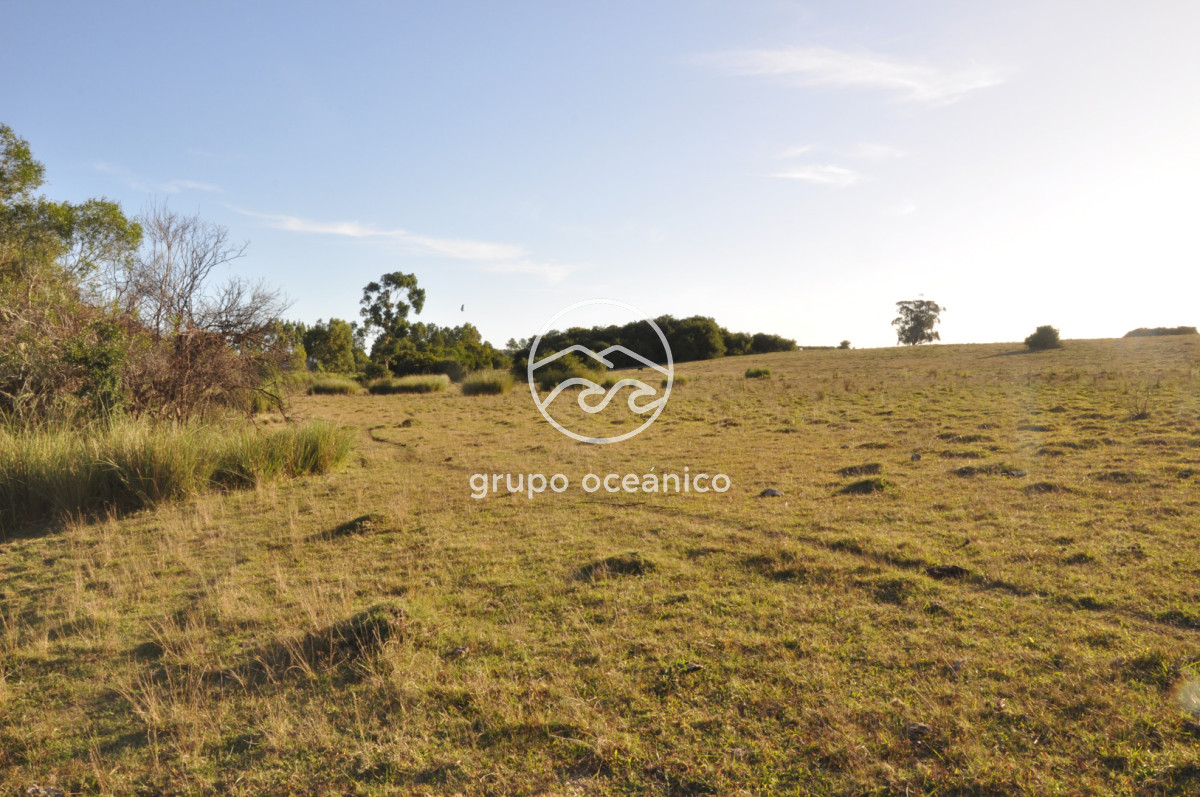 Campo Ref.49 - Campo 9,5 Há en paso de Tigre y Ruta 9