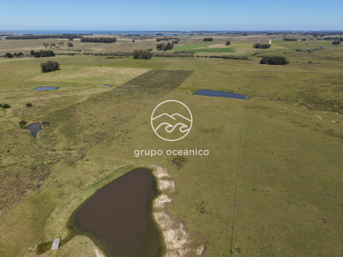 Campo Ref.56 - Campo 10 Há con acceso desde Ruta 9 Rincón de José Ignacio