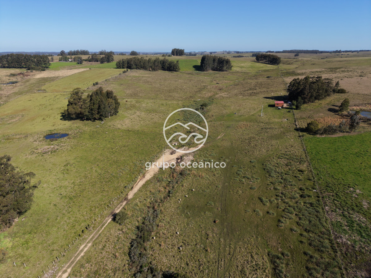 Campo Ref.81 - Campo Paso del Tigre con Cabaña