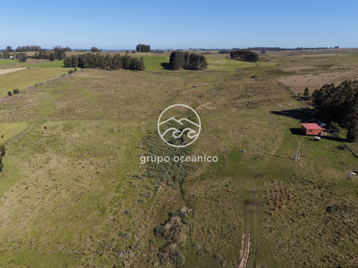 Campo Ref.81 - Campo Paso del Tigre con Cabaña