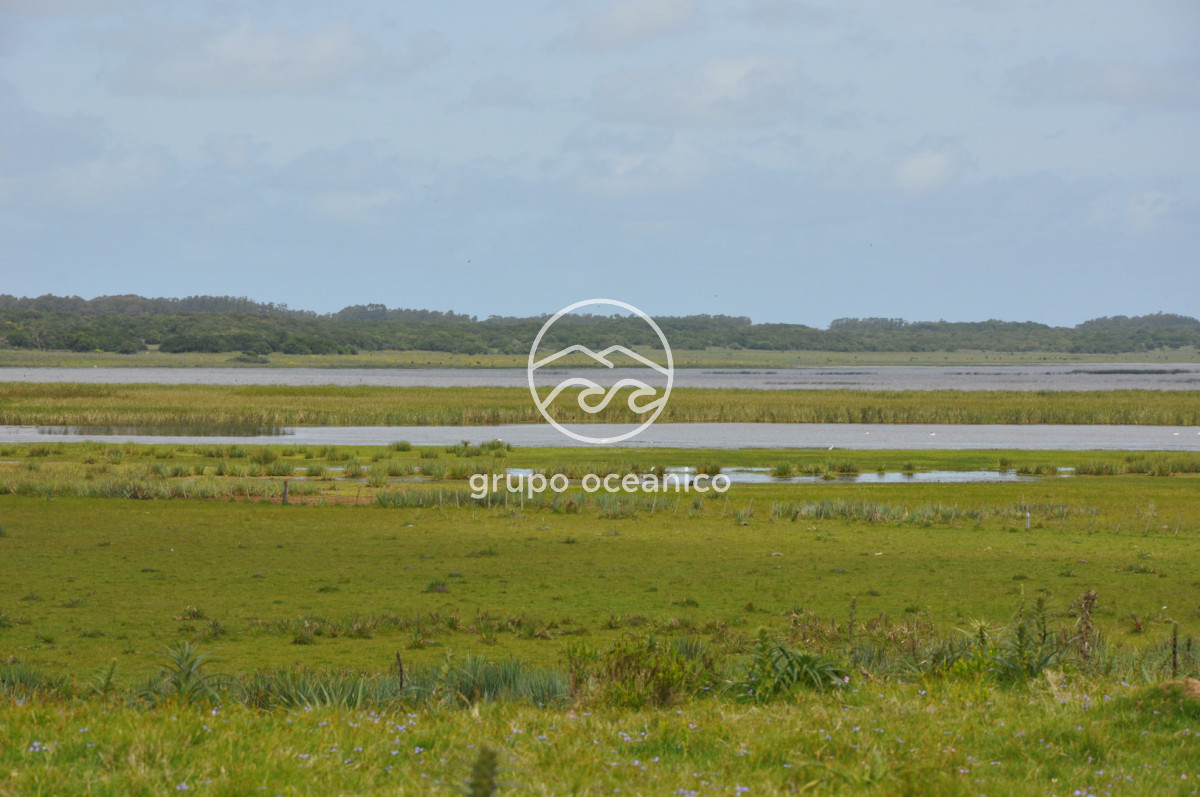 Campo Ref.89 - Campo 280 há sobre Laguna Garzón Área Protegida