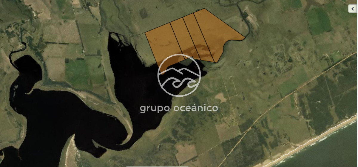 Campo Ref.89 - Campo 280 há sobre Laguna Garzón Área Protegida